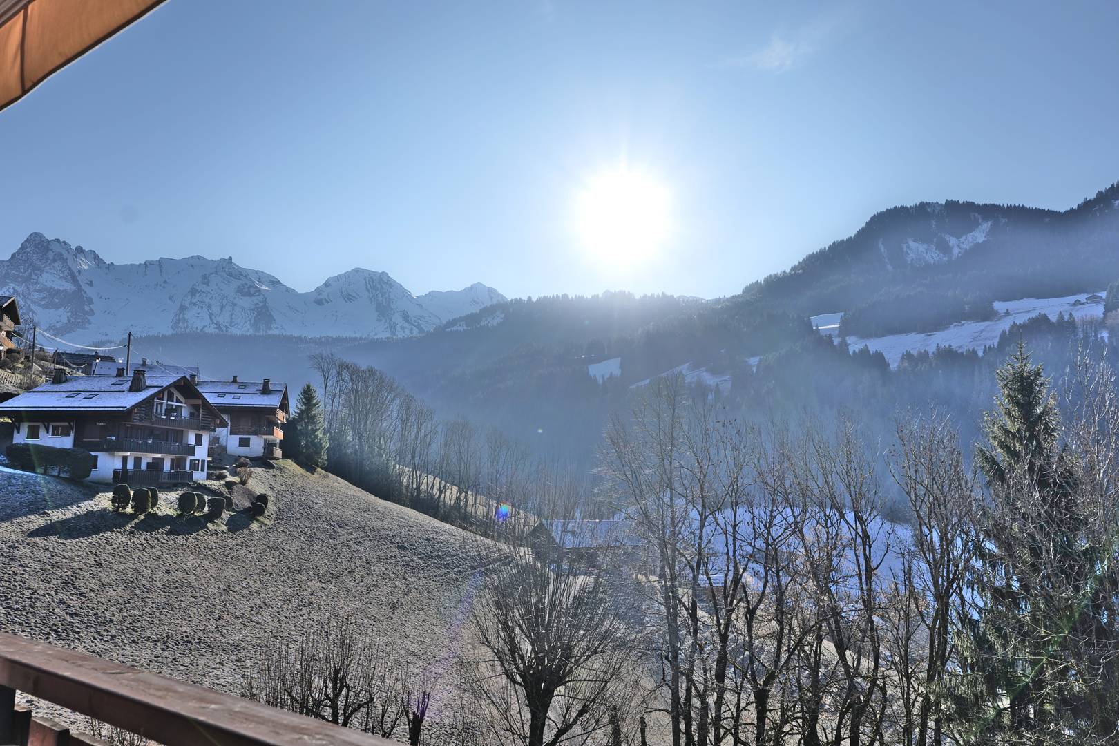 _clients_227445005_photos_255aa_5068904