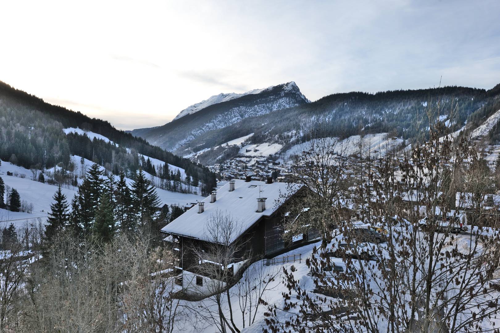 _clients_227445005_photos_255y_5454929