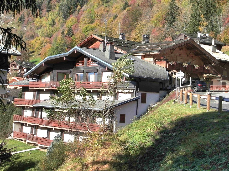 _clients_227445005_photos_29s_4726902