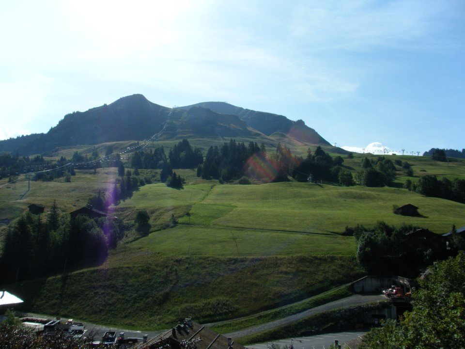 _clients_227445005_photos_31m_4726940