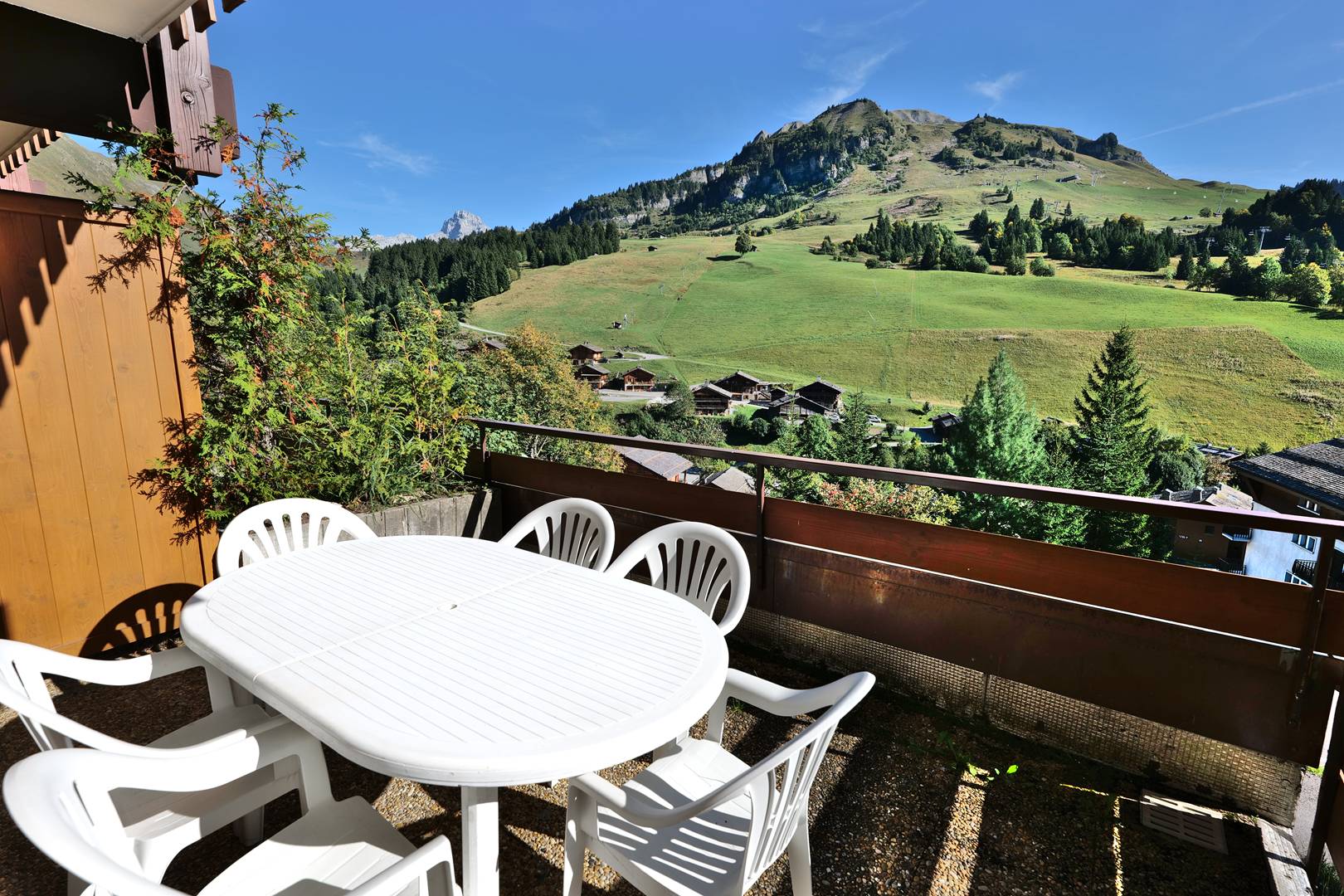 _clients_227445005_photos_33b_5168668