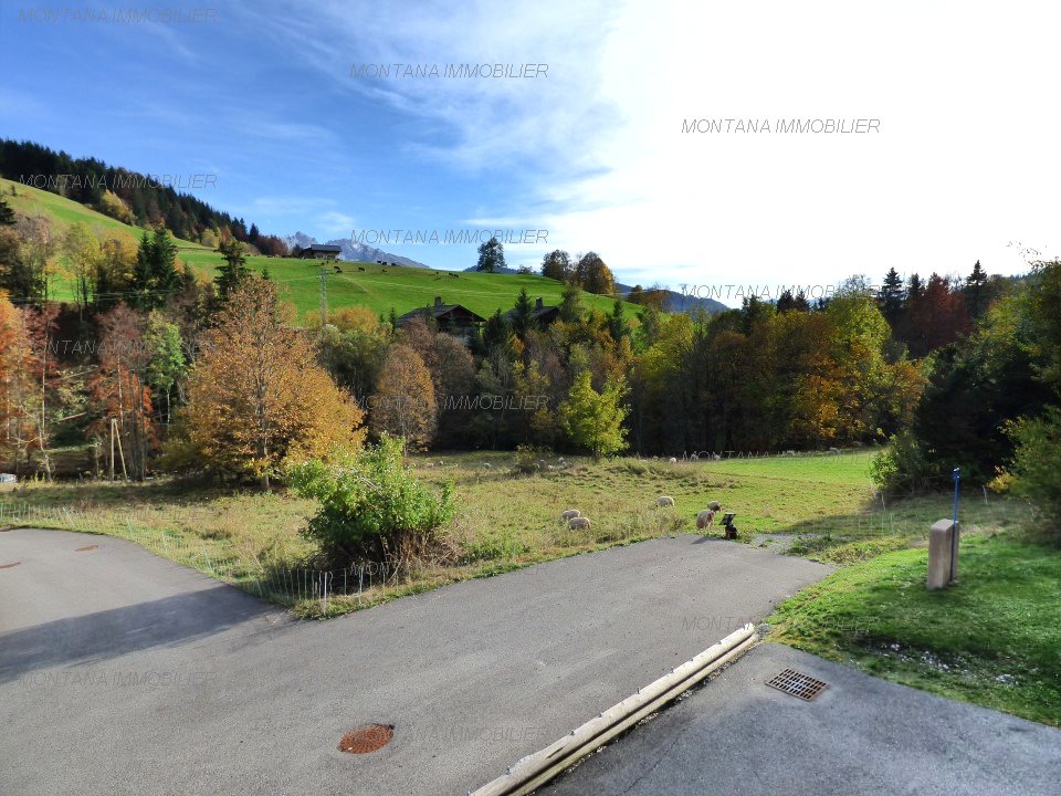 _clients_227445005_photos_36k_5414874