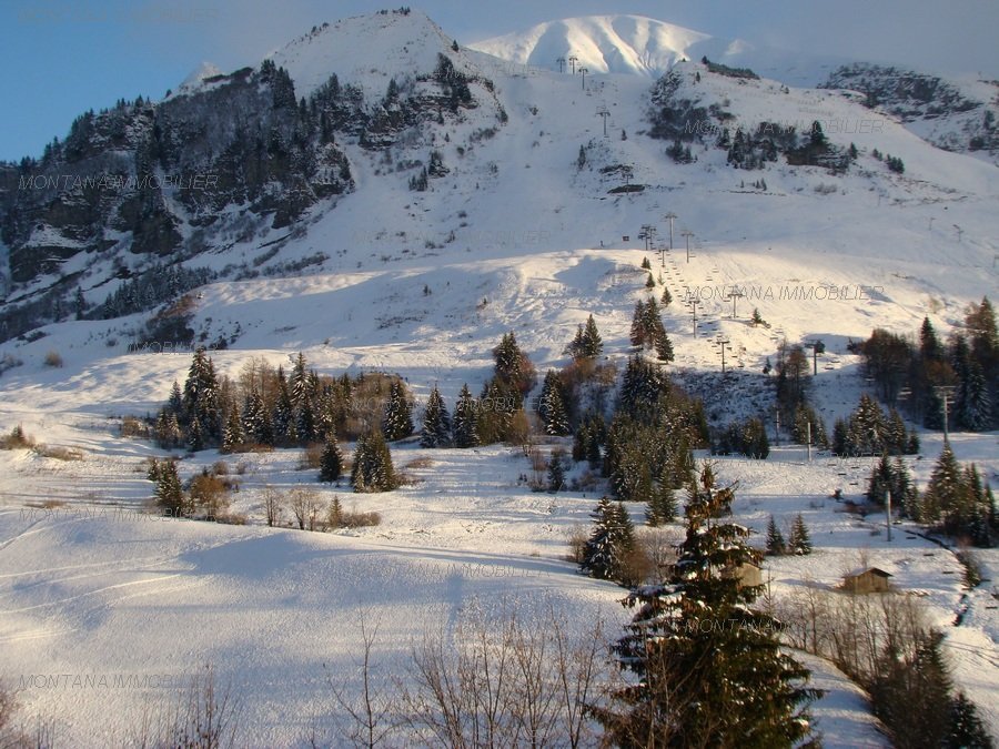 _clients_227445005_photos_38y_5350927