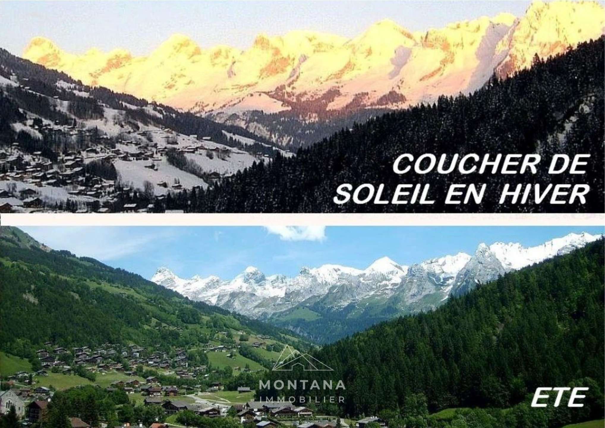 _clients_227445005_photos_46j_5202483