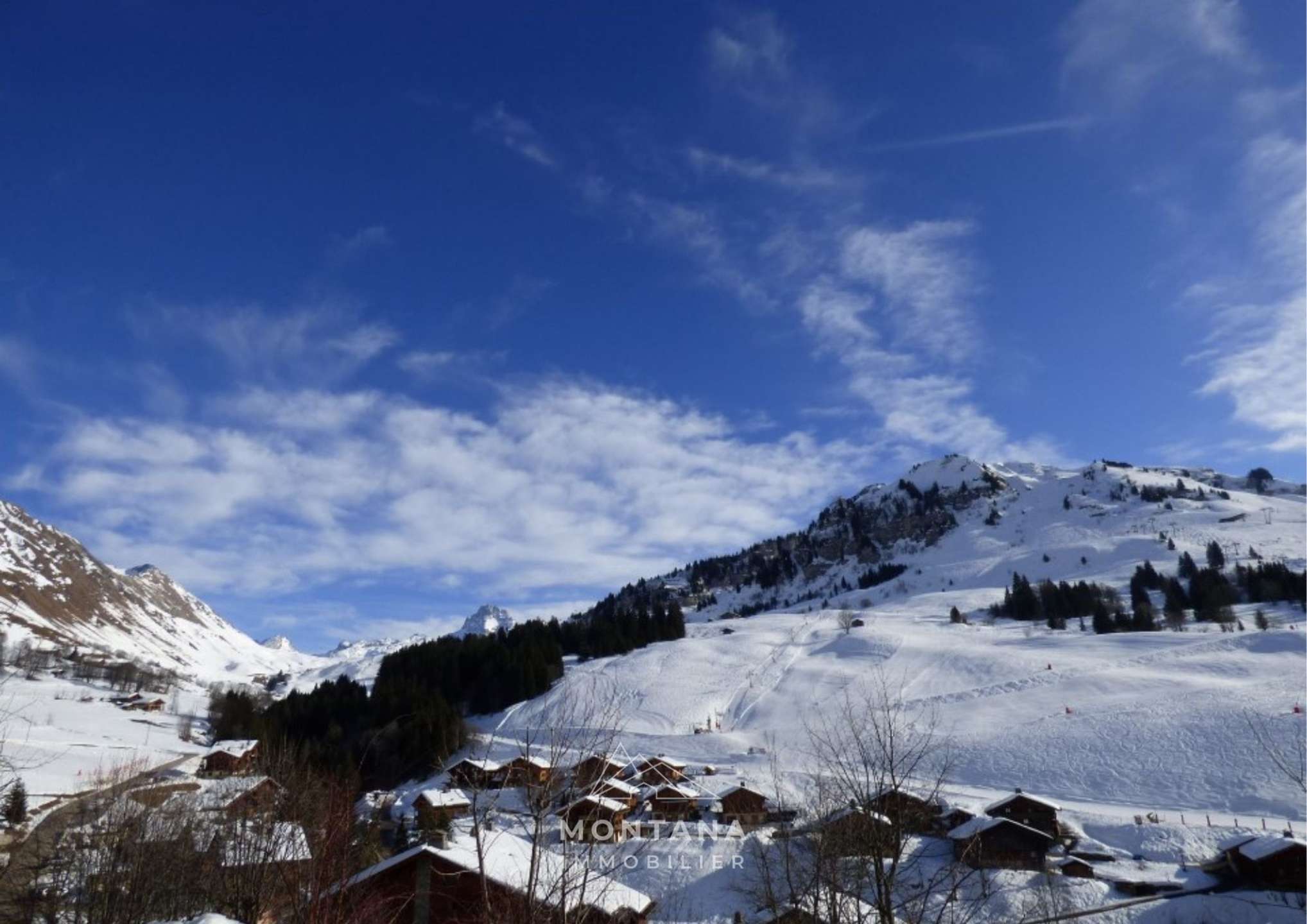 _clients_227445005_photos_51j_4731389