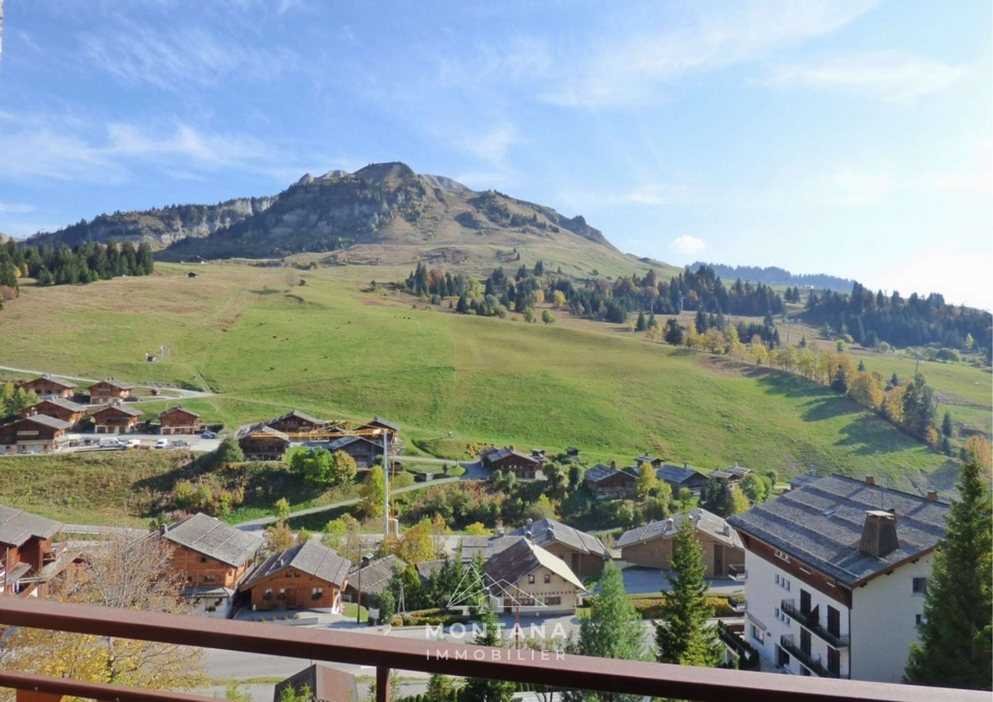 _clients_227445005_photos_51n_5202554