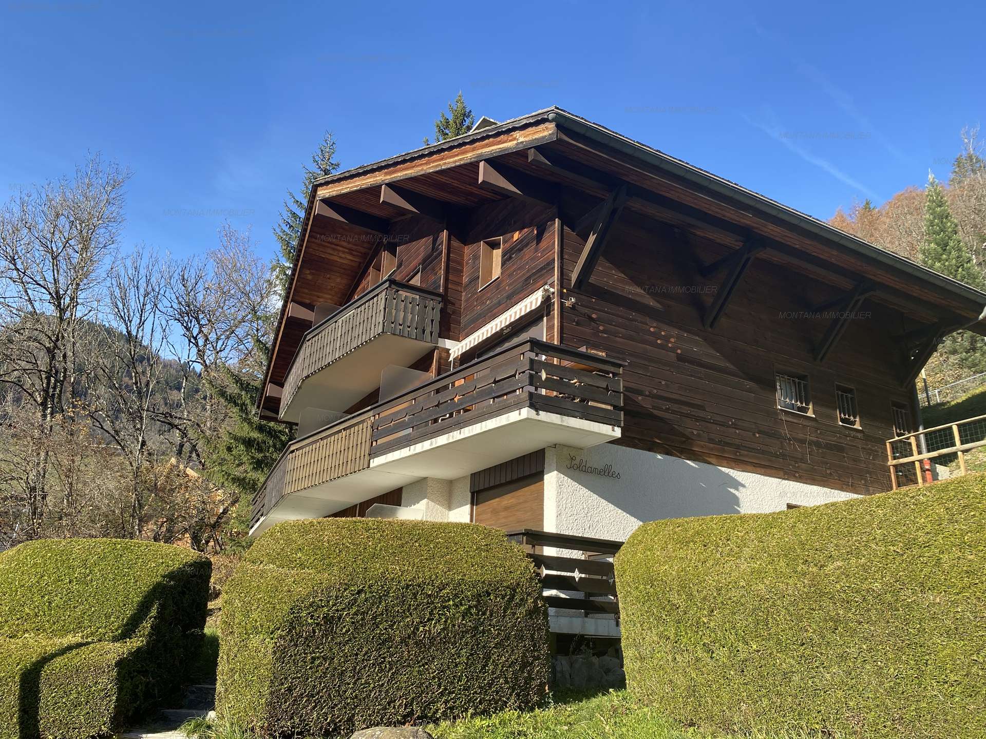 _clients_227445005_photos_52w_4723097