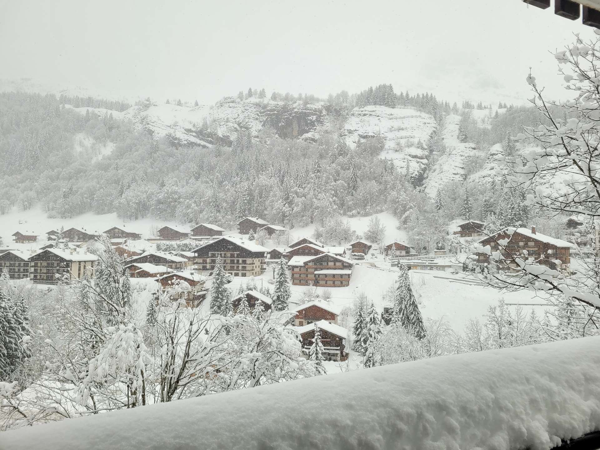 _clients_227445005_photos_54a_4874590