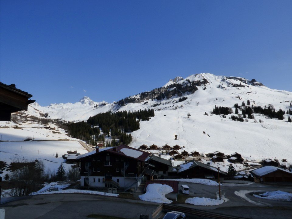 _clients_227445005_photos_56r_4686132