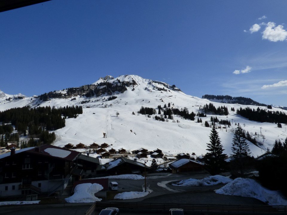 _clients_227445005_photos_56s_4686133