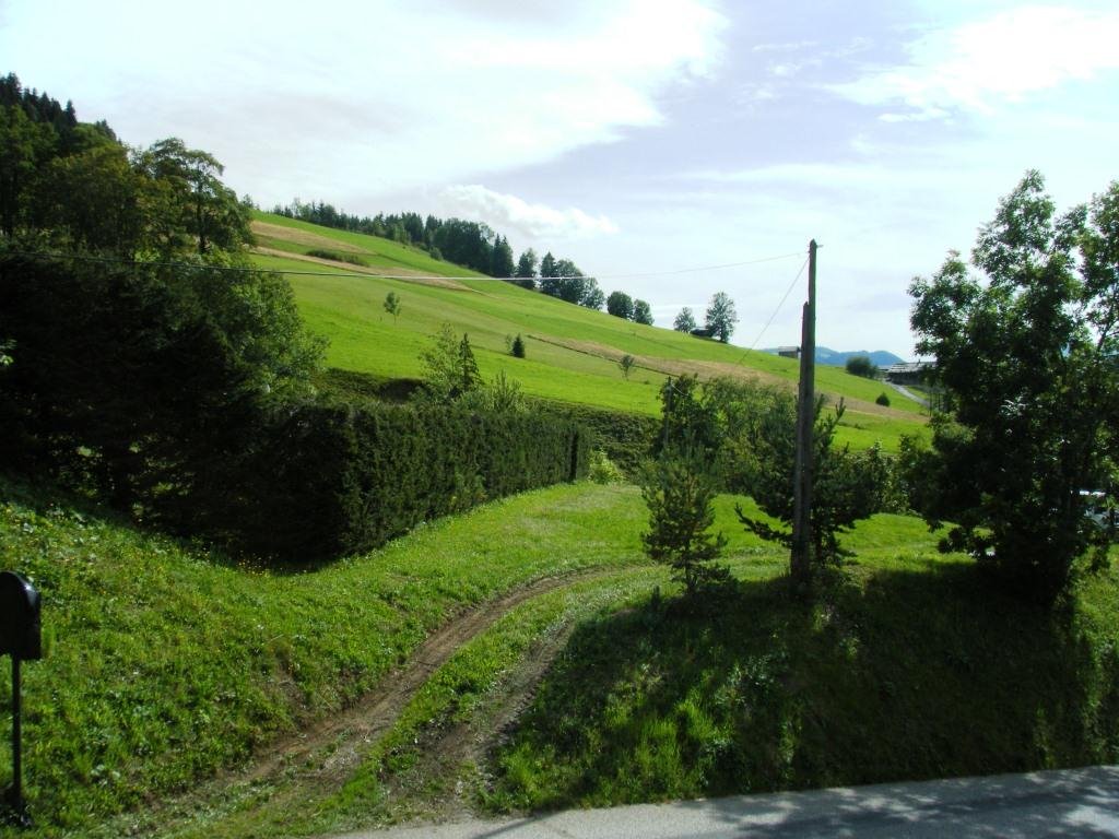 _clients_227445005_photos_57p_4723158