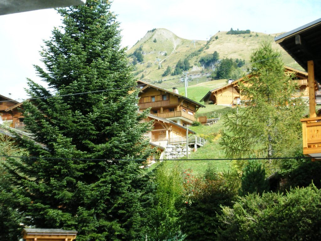 _clients_227445005_photos_57q_5415096