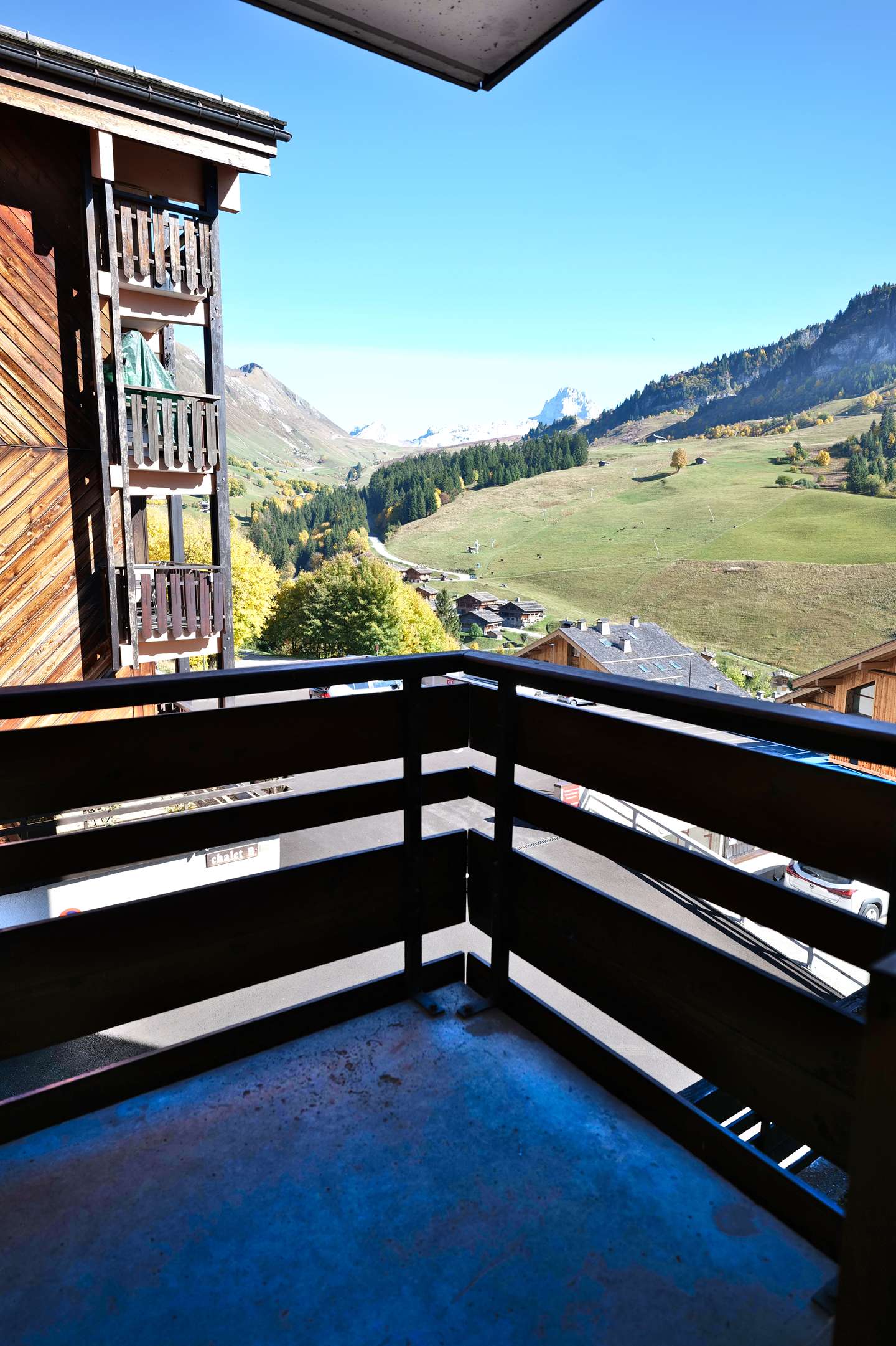 _clients_227445005_photos_61b_5202698