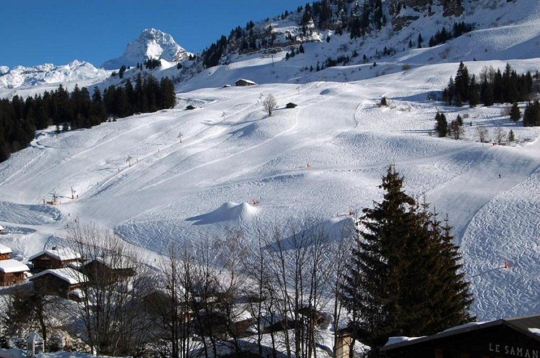 _clients_227445005_photos_61s_4731554