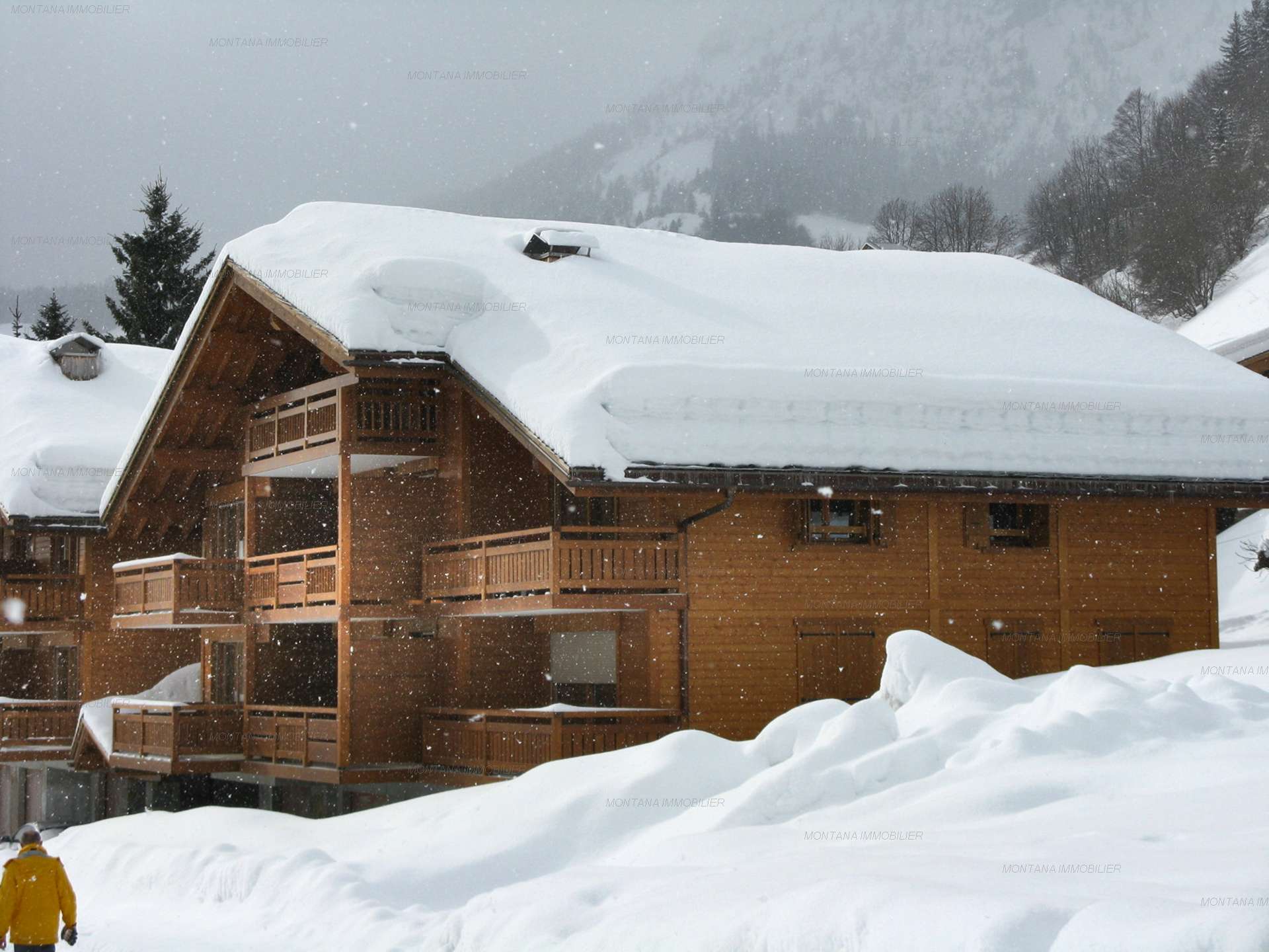 _clients_227445005_photos_63o_4785569