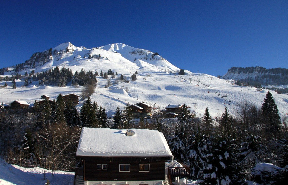 _clients_227445005_photos_71h_5073886