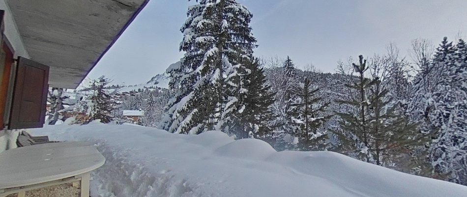 _clients_227445005_photos_7t_5105540