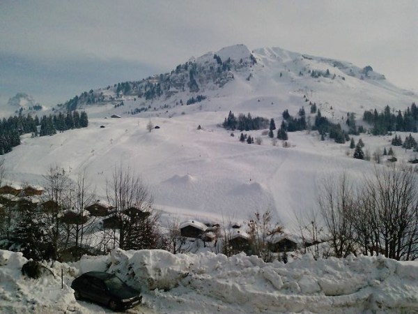 location appartement studio les roches fleuries le grand bornand chinaillon