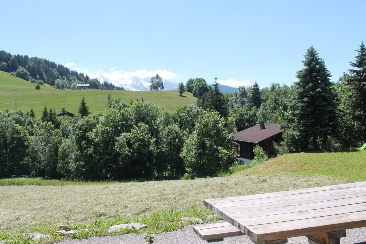 Jardin été/Summer garden-Fleur des Alpes n°5-Le Grand-Bornand