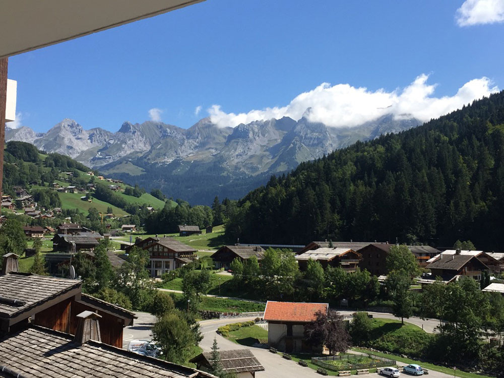 Vue depuis l'appartement été/View from the apartment summer-Danay-Le Grand-Bornand