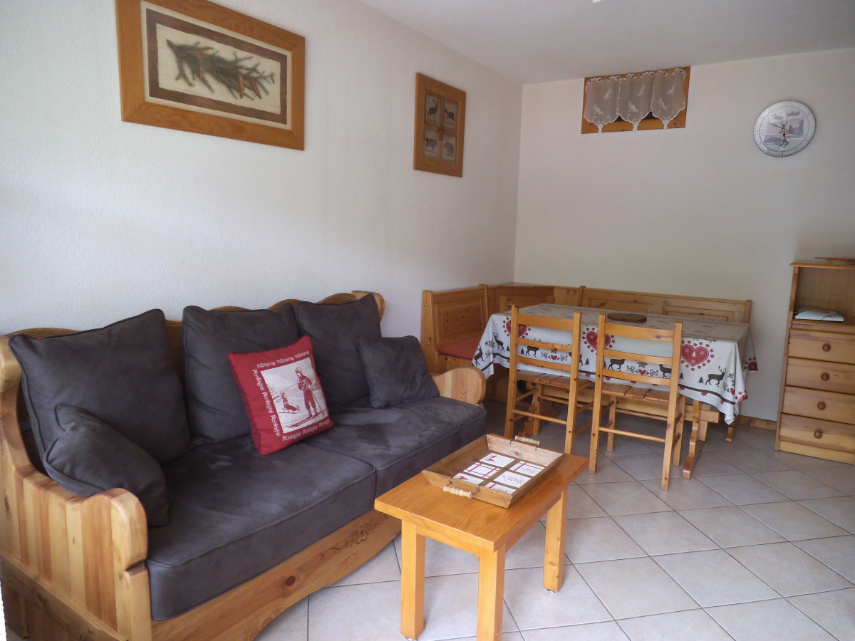 Séjour avec canapé/Living room with a sofa-Cornillon C n°3-Le Grand-Bornand