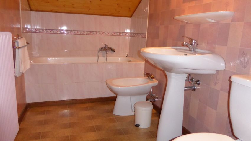 Vieux Noyer (Sorbier)