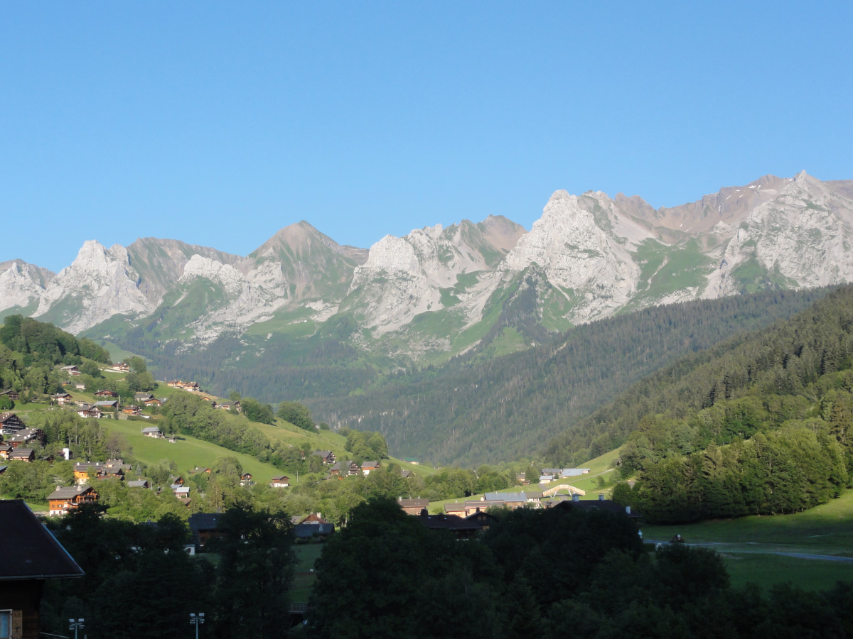 Vue paysage été / View of the countryside during summer - Tilleuls - Le Grand-Bornand Vue paysage été / View of the countryside during summer - Tilleuls - Le Grand-Bornand