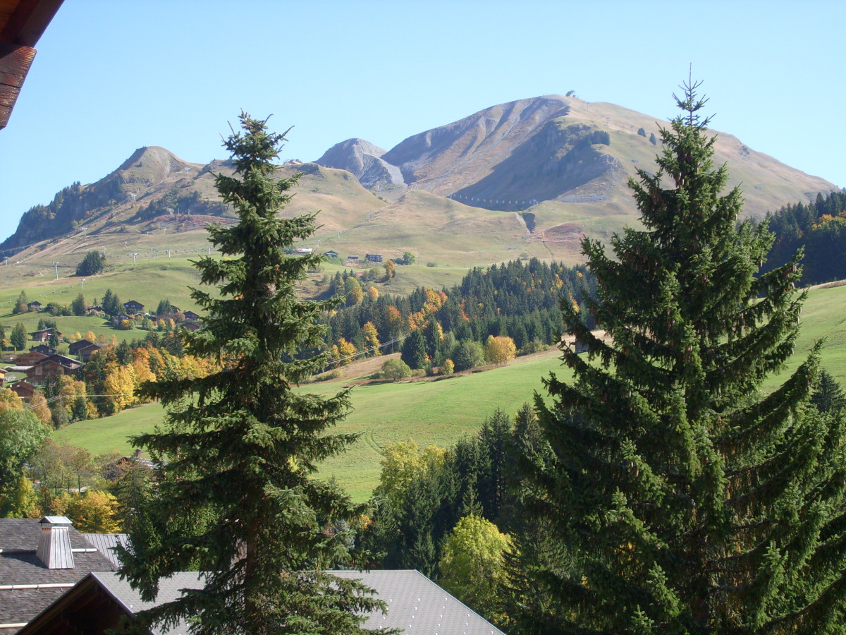 Vue depuis chalet été/View from the chalet summer-Fleurs des Alpes-Le Grand-Bornand Vue depuis chalet été/View from the chalet summer-Fleurs des Alpes-Le Grand-Bornand