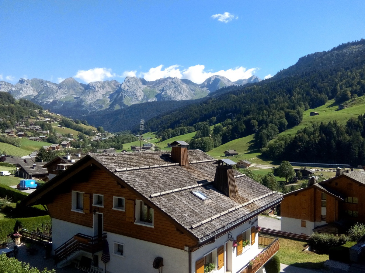 Vue depuis le chalet été/View from the chalet summer-Chalet Pollet-Le Grand-Bornand