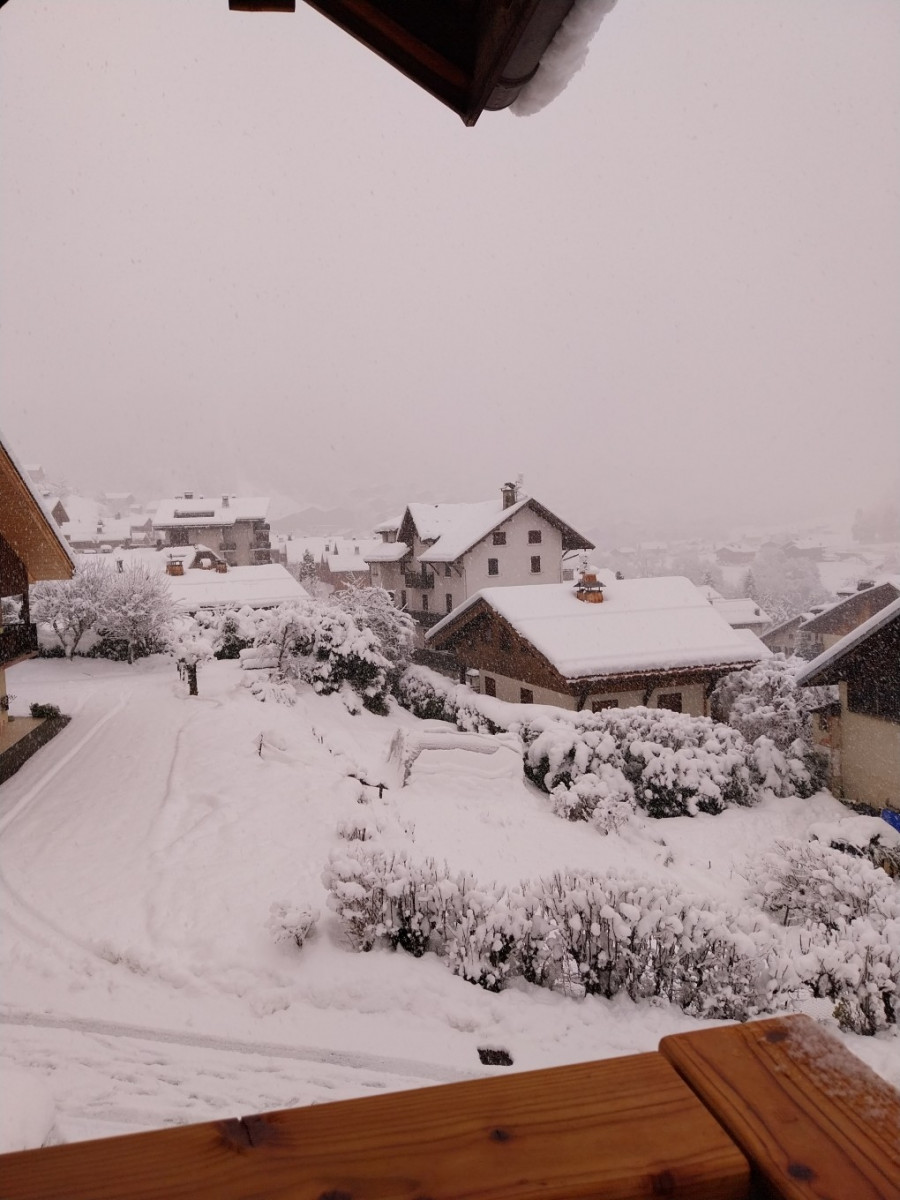 Gentiane n°1 - © Alvin Nicole Gentiane n°1