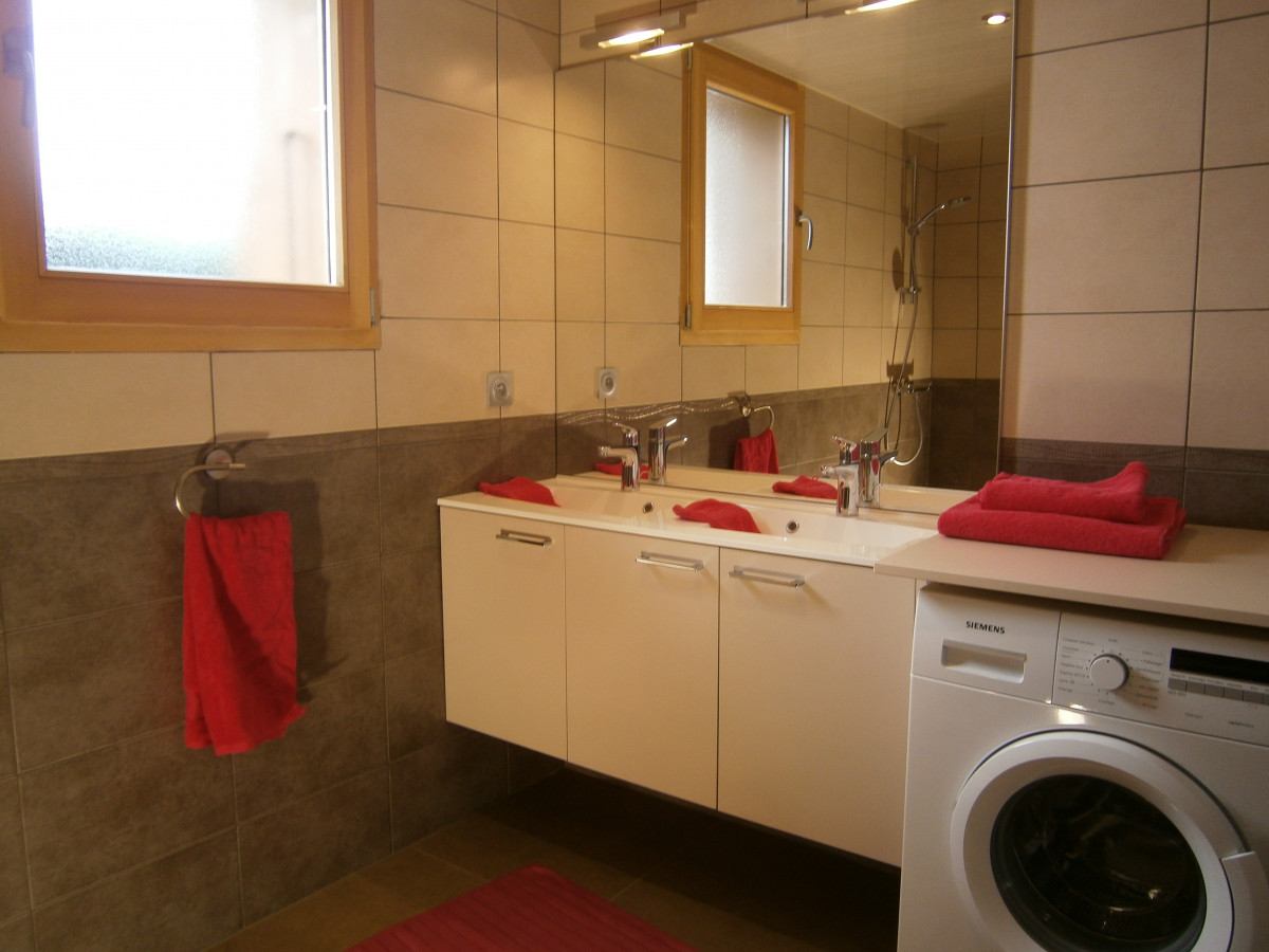 Boiseraie n° 4_Le Grand-Bornand