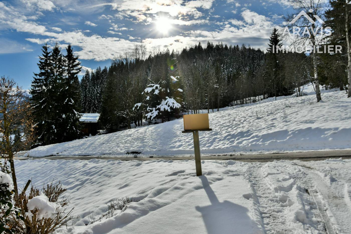 _clients_227445001_photos_206ax_4636971