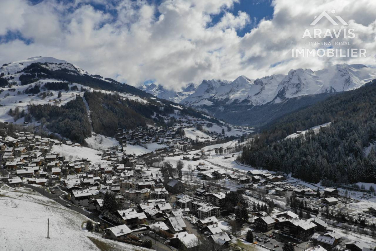 _clients_227445001_photos_37x_4637634