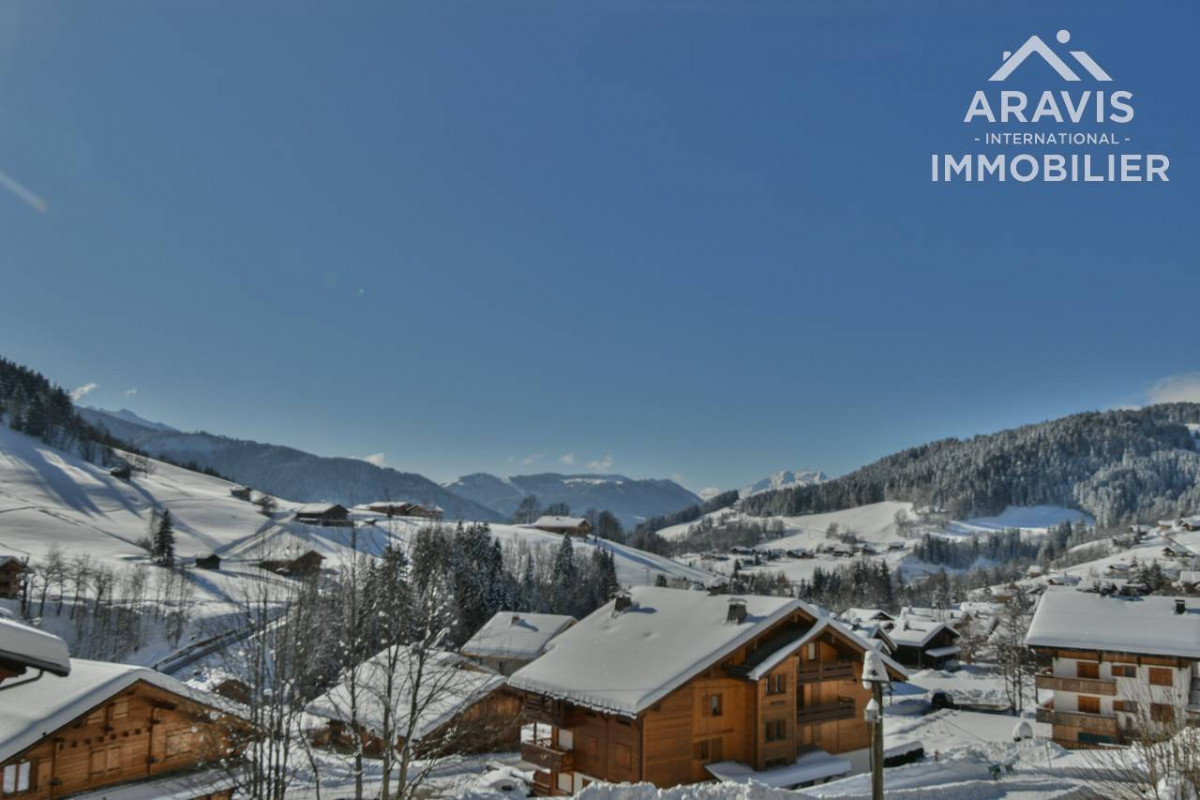 _clients_227445001_photos_47s_4637785