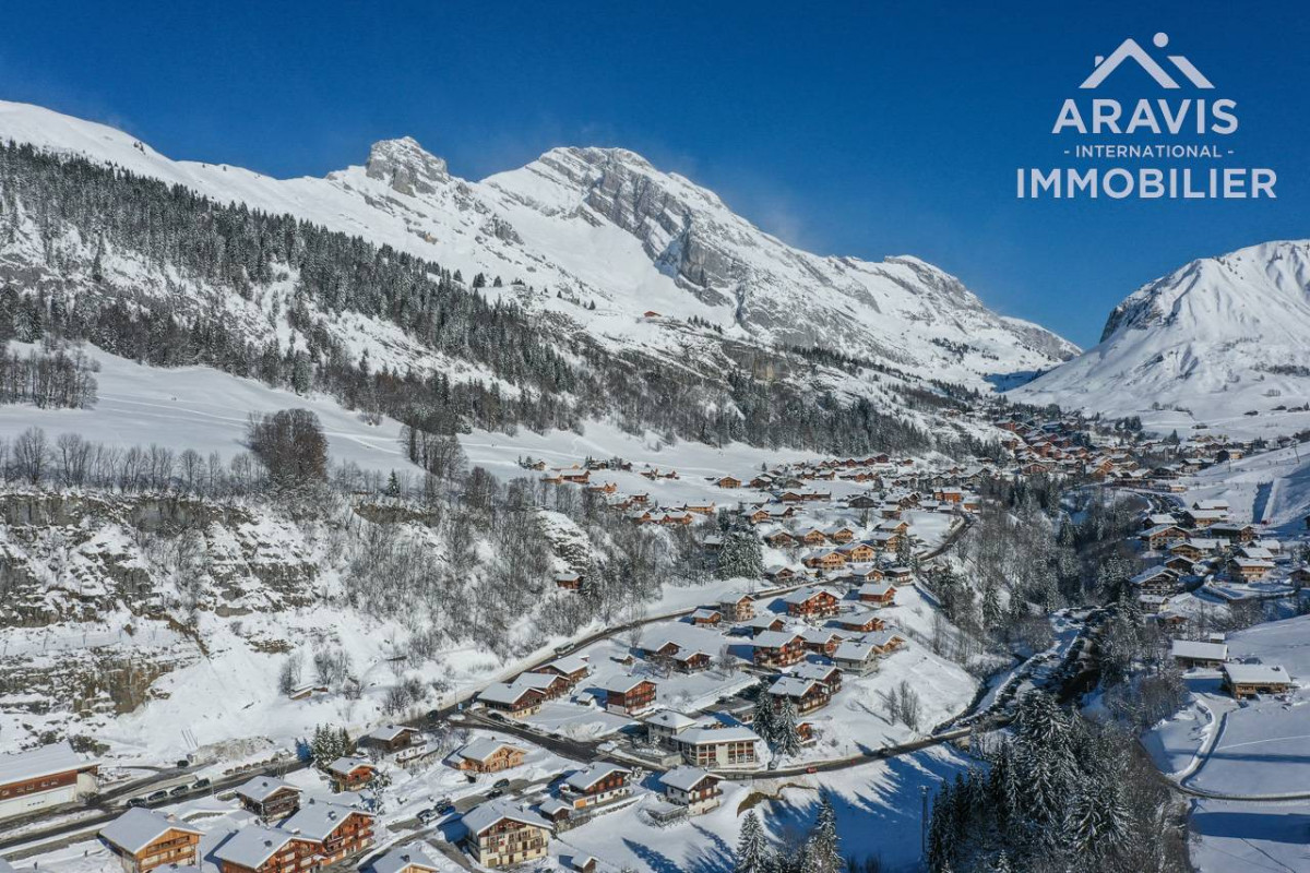 _clients_227445001_photos_47x_4637790