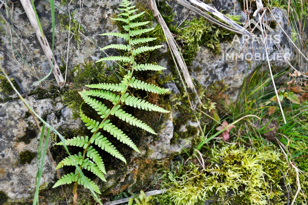 _clients_227445001_photos_48u_4637812 _clients_227445001_photos_48u_4637812