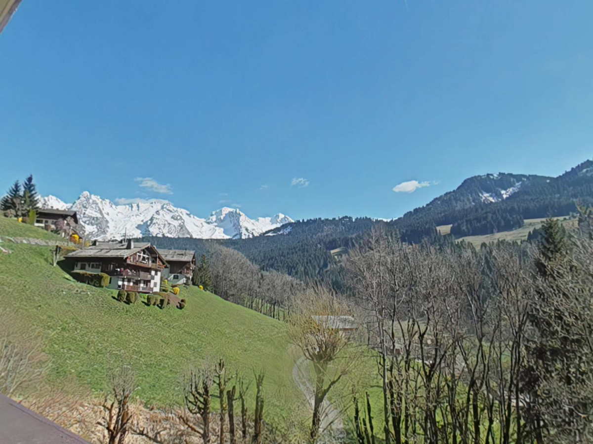 _clients_227445002_photos_10010p_5379488 _clients_227445002_photos_10010p_5379488