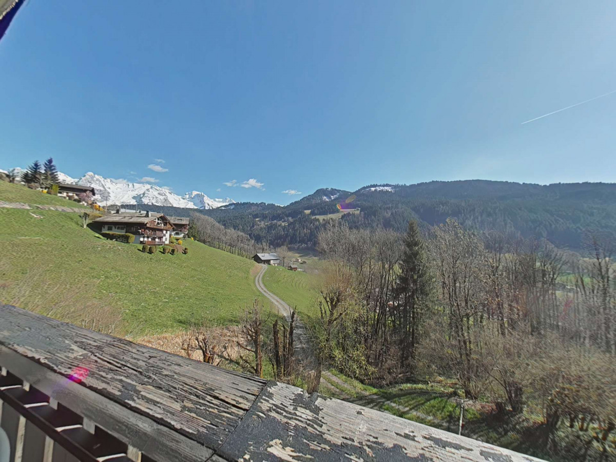 _clients_227445002_photos_10012n_5347298