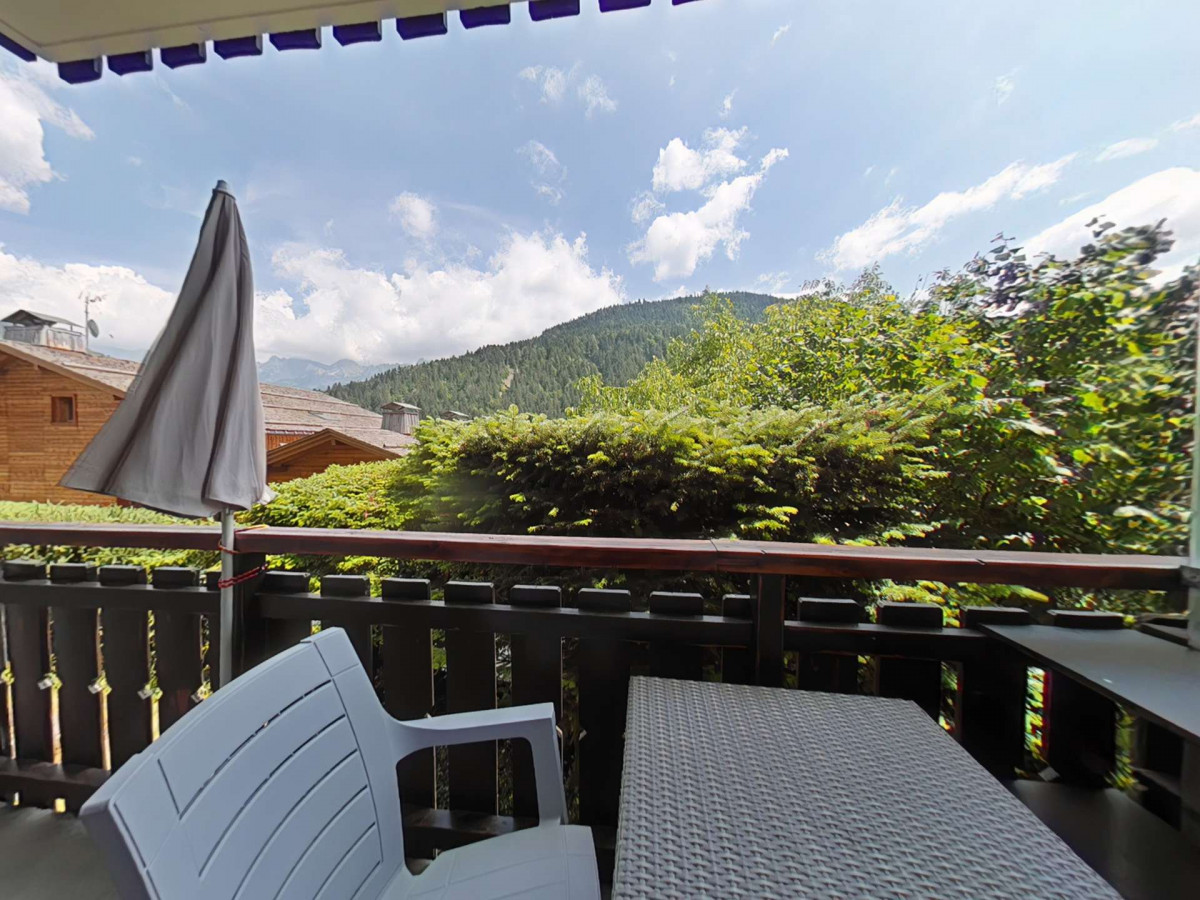 _clients_227445002_photos_10047p_4892973