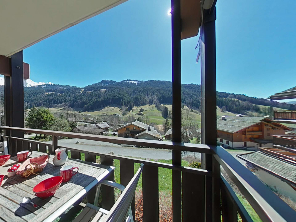 _clients_227445002_photos_10050n_4927444