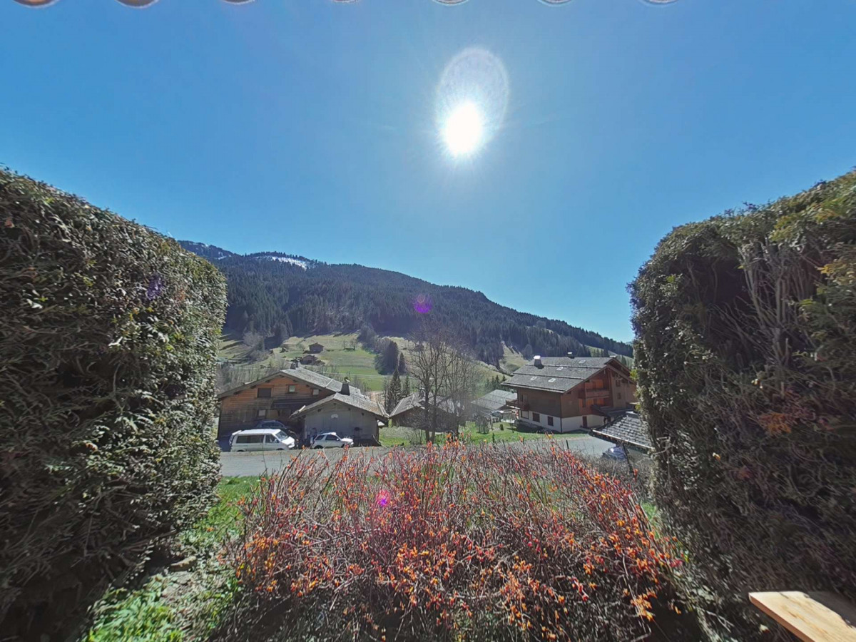 _clients_227445002_photos_10108o_4914682 _clients_227445002_photos_10108o_4914682