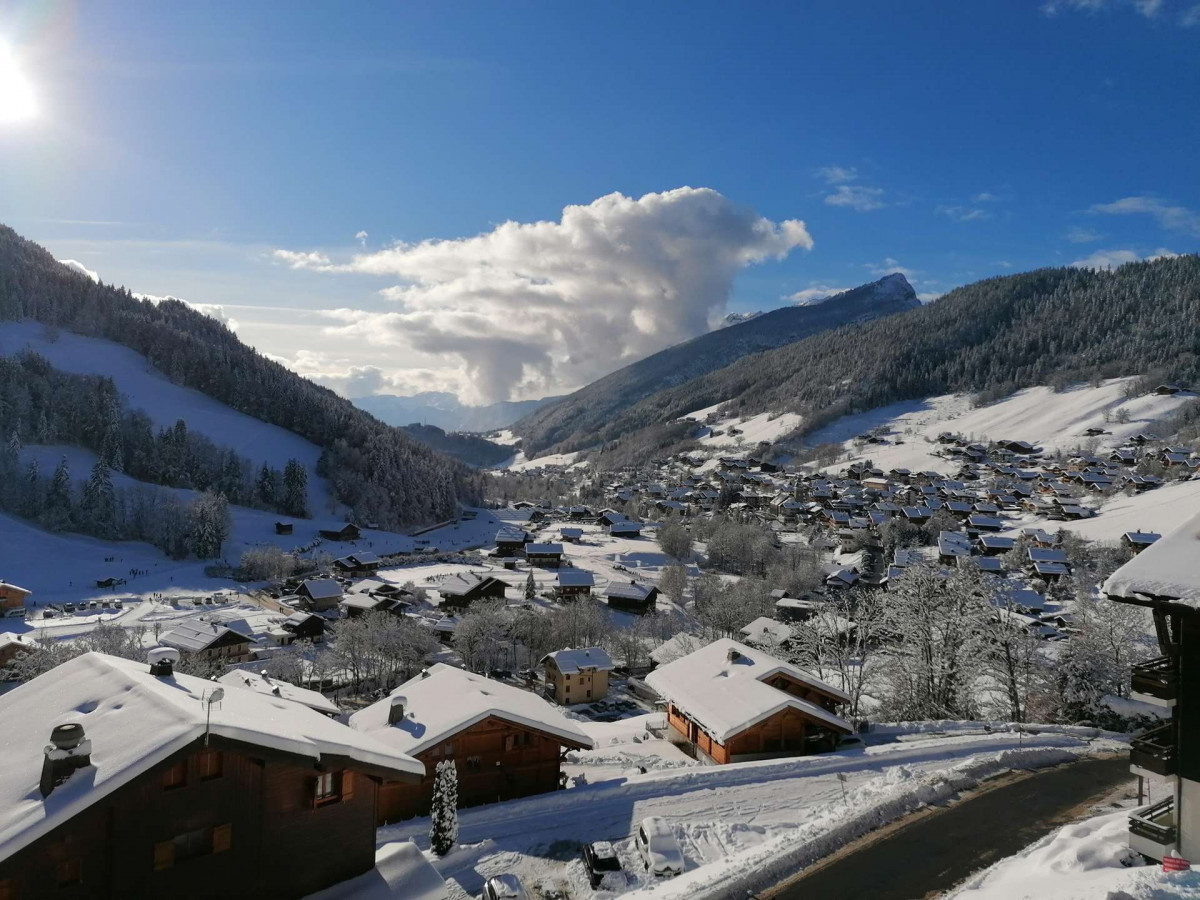 _clients_227445002_photos_10110t_4923291