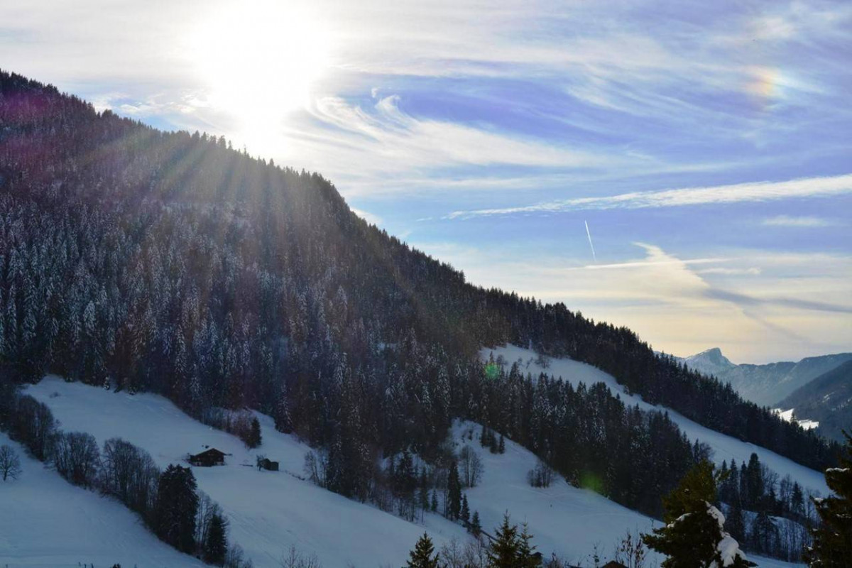 _clients_227445002_photos_10132r_5165446 _clients_227445002_photos_10132r_5165446