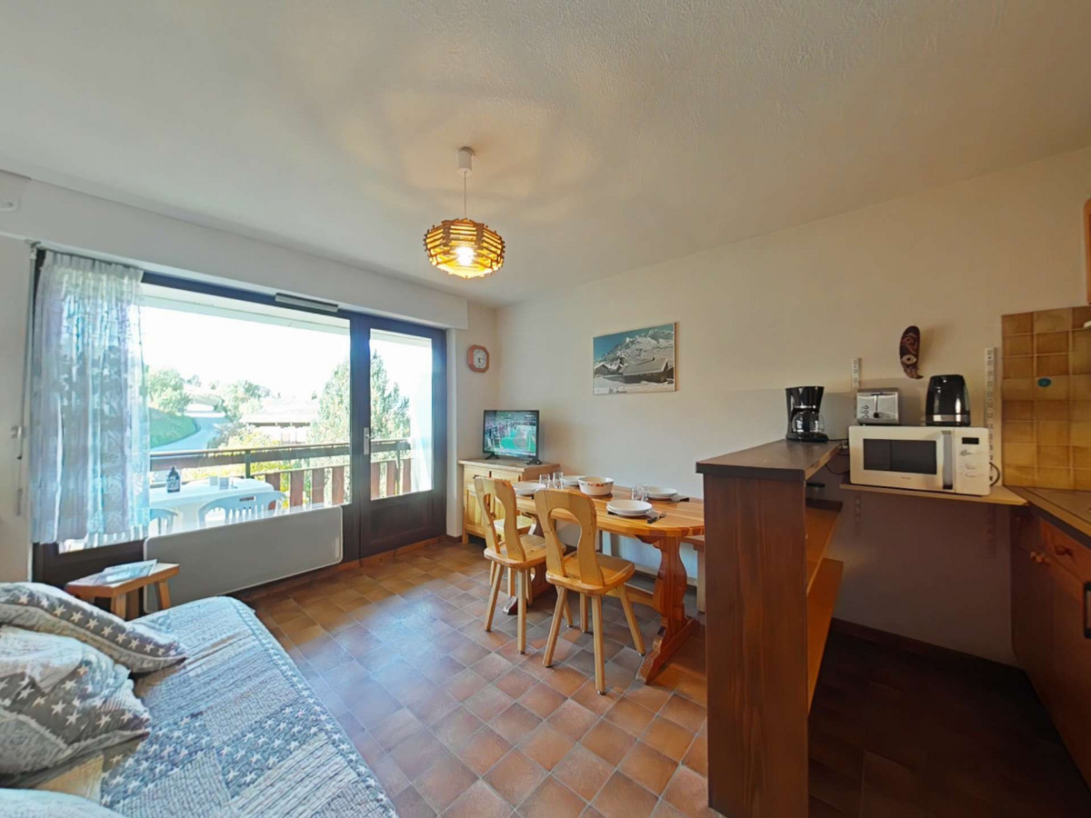 _clients_227445002_photos_10173b_4919215