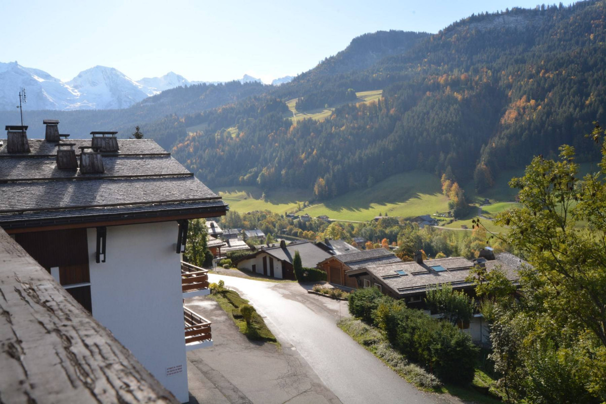 _clients_227445002_photos_12466q_4919416