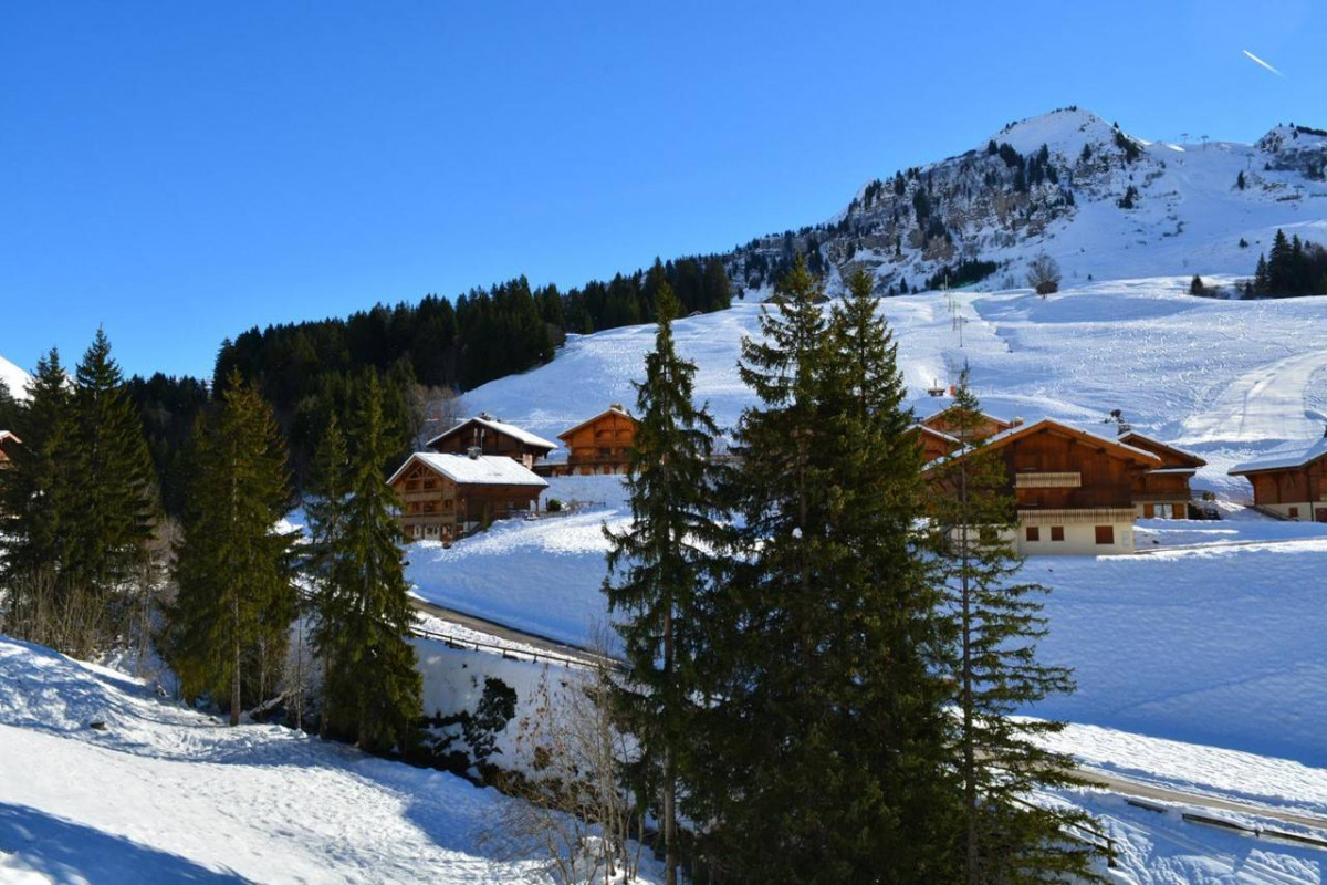 _clients_227445002_photos_9827w_5152357 _clients_227445002_photos_9827w_5152357