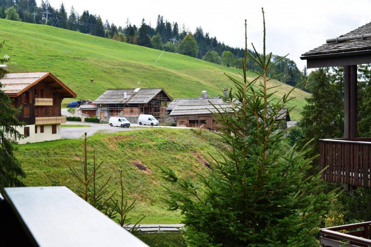 _clients_227445002_photos_9843r_4729064