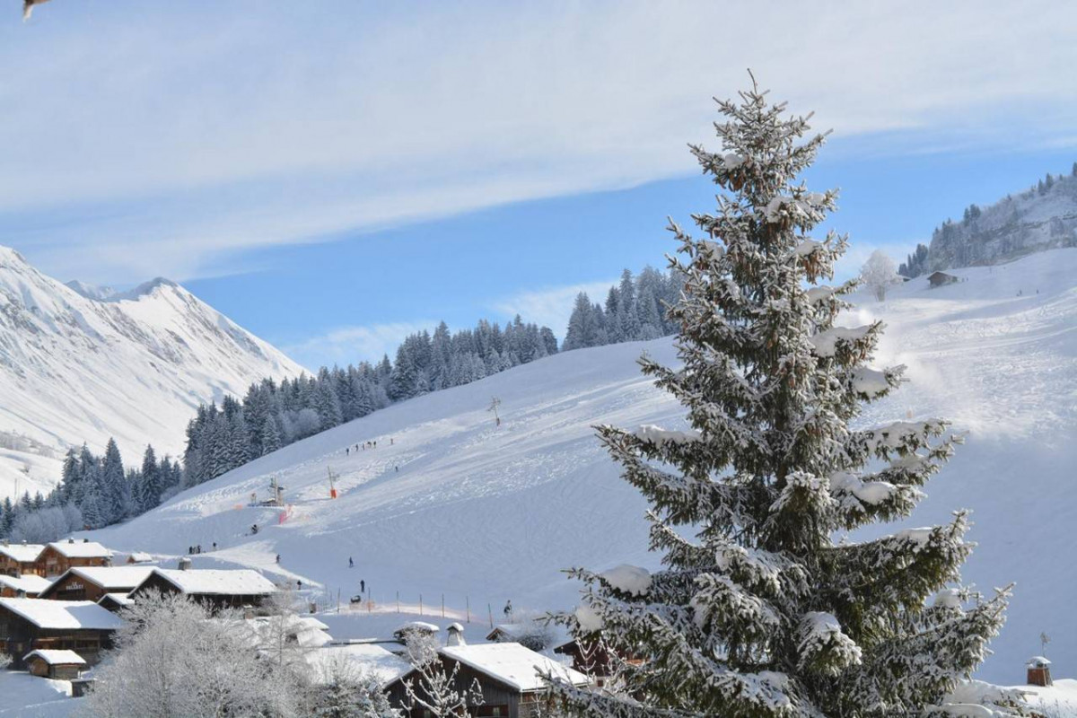 _clients_227445002_photos_9894p_4720938 _clients_227445002_photos_9894p_4720938