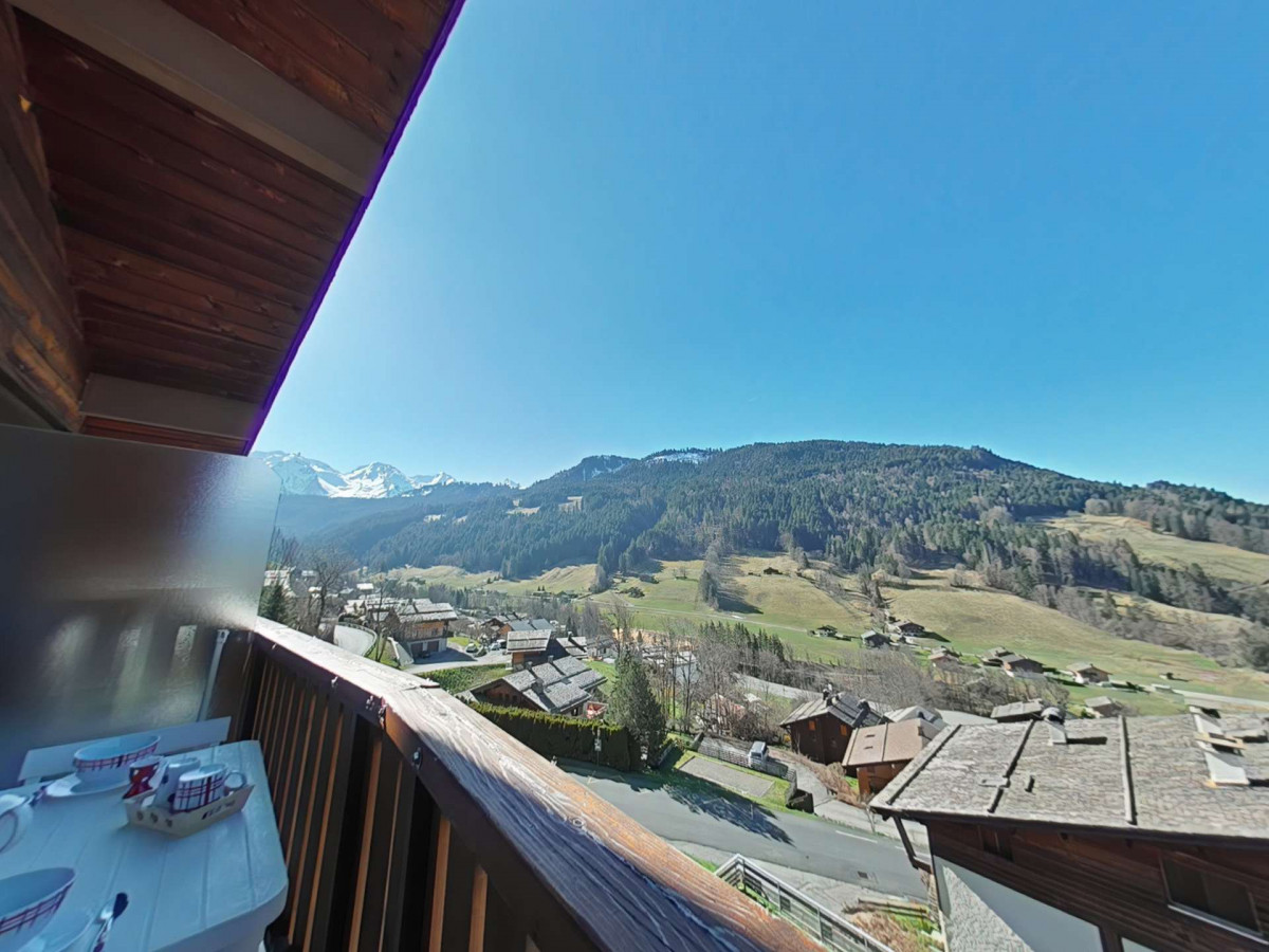 _clients_227445002_photos_9925r_5200373 _clients_227445002_photos_9925r_5200373