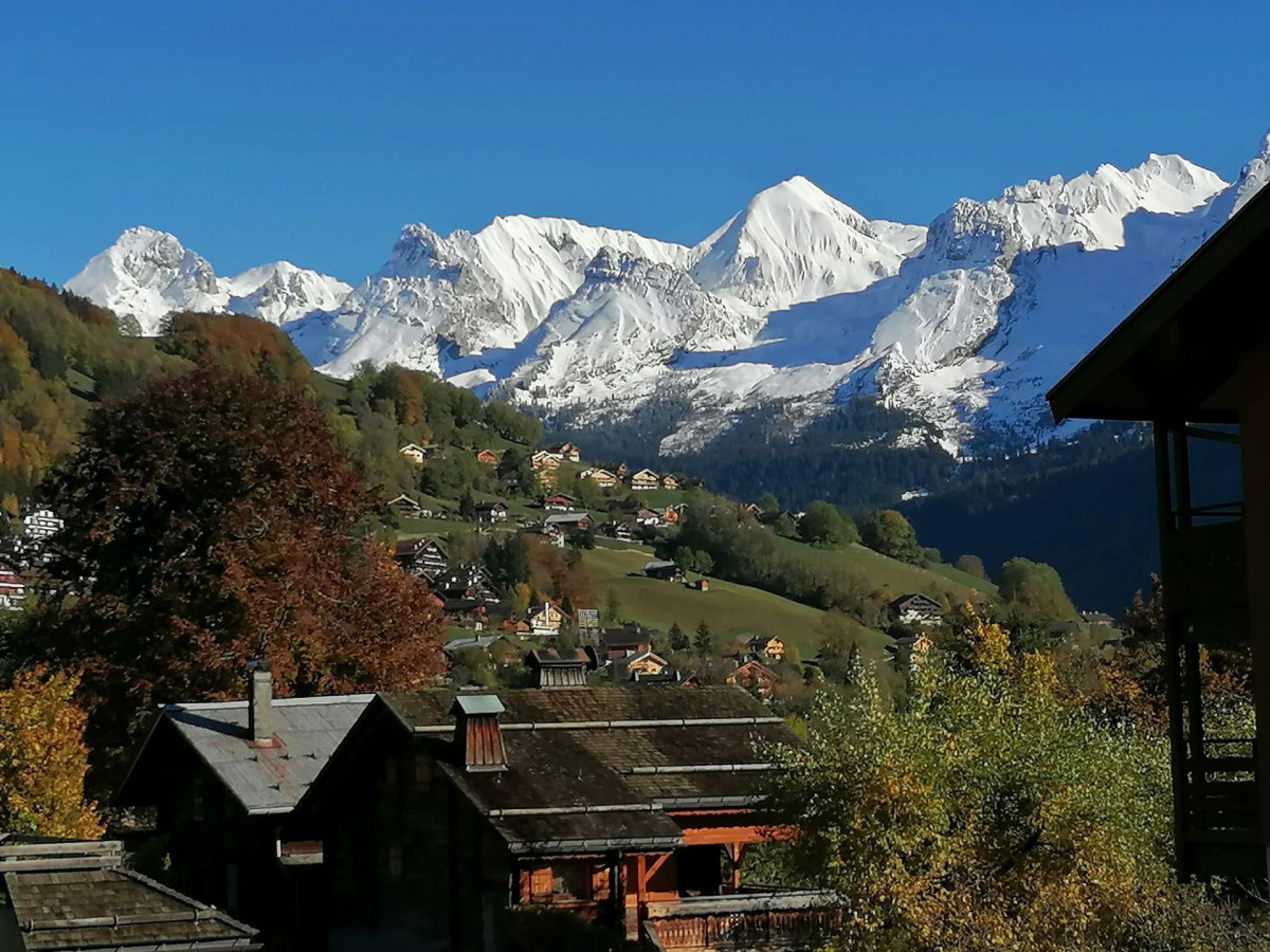 _clients_227445002_photos_9961o_4876924 _clients_227445002_photos_9961o_4876924